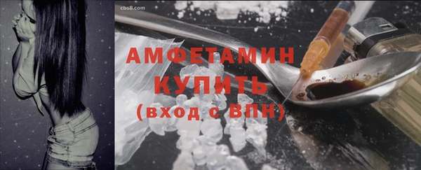 крисы Богородицк