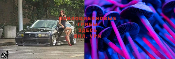 первитин Богородск