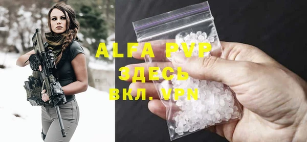 крисы Богородицк