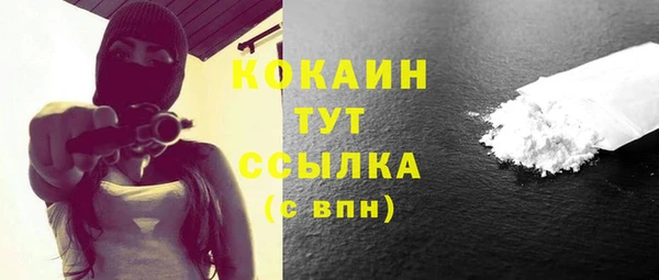 крисы Богородицк