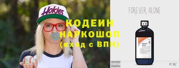 крисы Богородицк