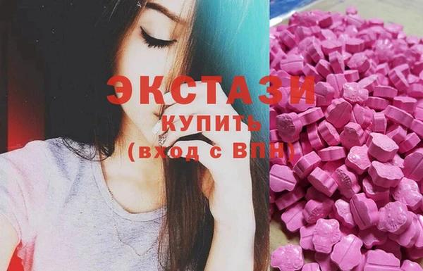 крисы Богородицк