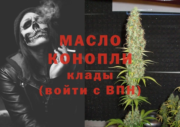 крисы Богородицк