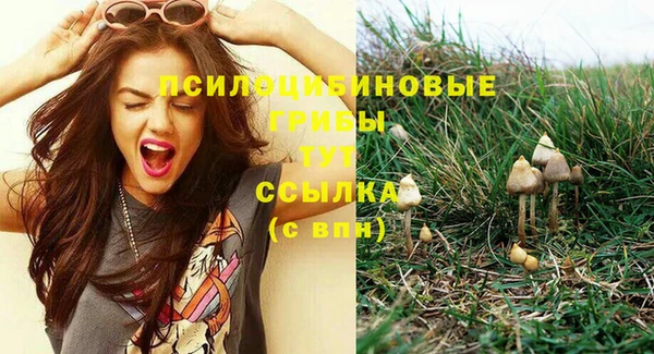 крисы Богородицк