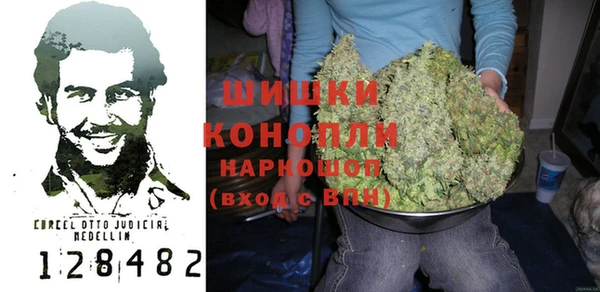 крисы Богородицк