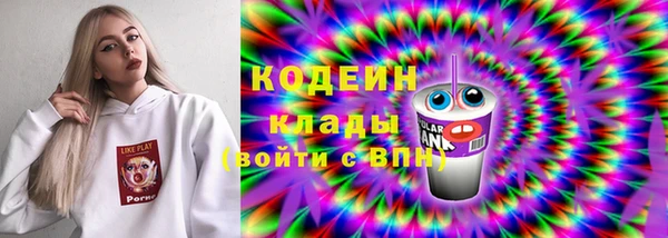 крисы Богородицк