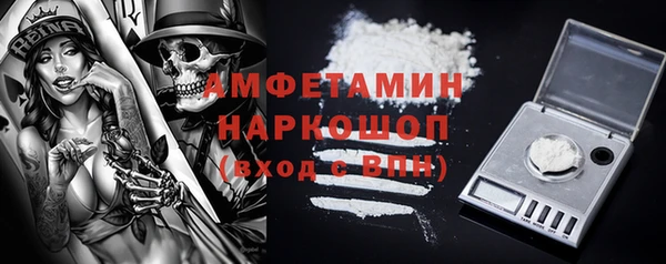 крисы Богородицк
